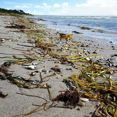 3 Bedroom Lovely In Nykobing Sj Ferienhaus Tjørneholm