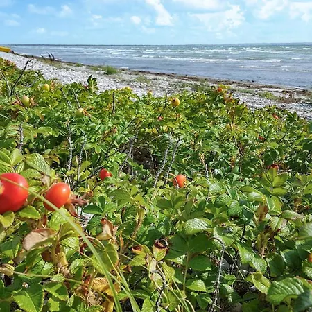 3 Bedroom Lovely In Nykobing Sj Ferienhaus *